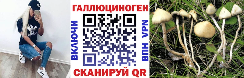 Галлюциногенные грибы Psilocybe  дарнет шоп  Короча 